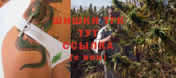 сатива Михайлов