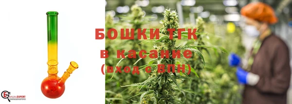 сатива Михайлов
