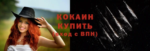 сатива Михайлов