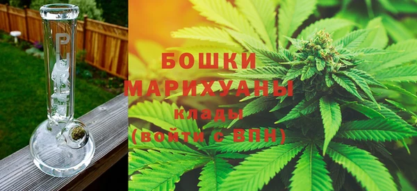 сатива Михайлов
