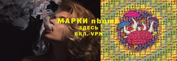 сатива Михайлов