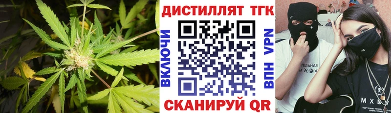 Купить закладки  Каргополь  ТГК гашишное масло 