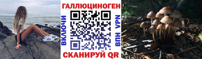 Купить где  Каргополь  Галлюциногенные грибы ЛСД 