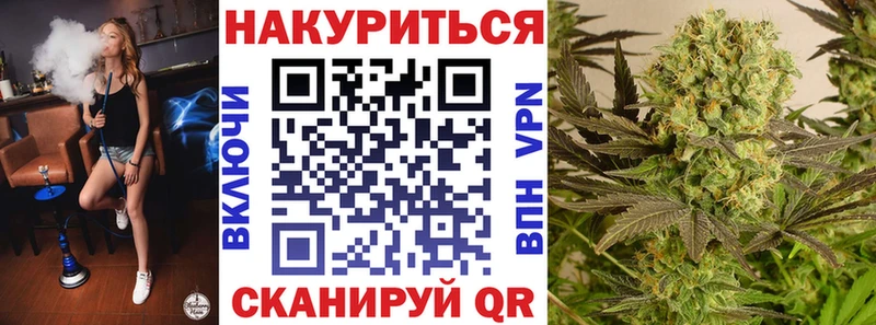Конопля гибрид Каргополь